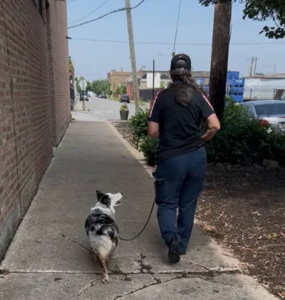 Walking-with-dog